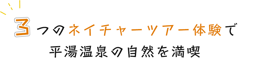 3つのネイチャーツアー体験で平湯温泉の自然を満喫