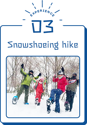 Snowshoeing hike