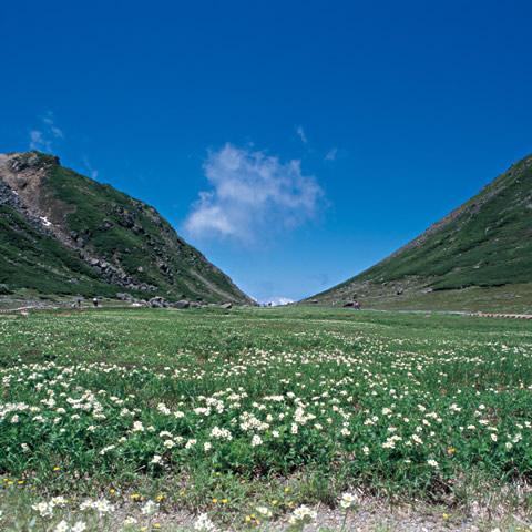 乗鞍岳